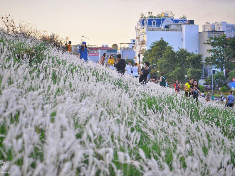 Hiện đang là giai đoạn đầu mùa, vì vậy ở khu vực này vẫn chưa quá đông người.
