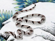 Eva tám - 3 con giáp nữ không dễ theo đuổi, chỉ số IQ cao, khí chất tao nhã