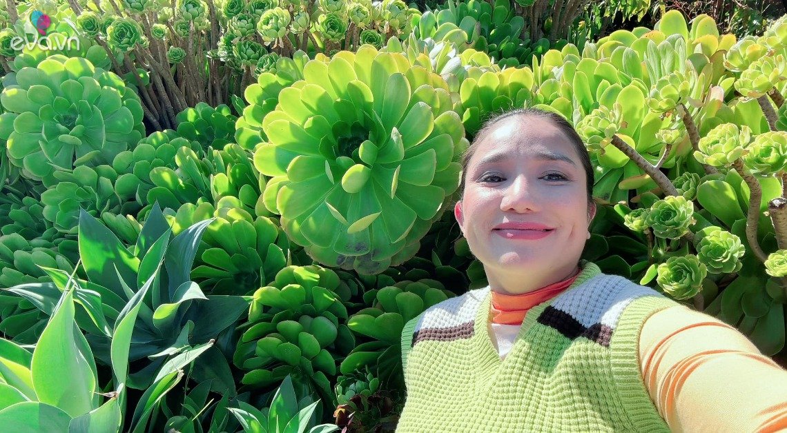 Gallery - MC Cát Tường khoe nhà cô ruột ở Mỹ có vườn sen đá khổng lồ bông to hơn mặt người