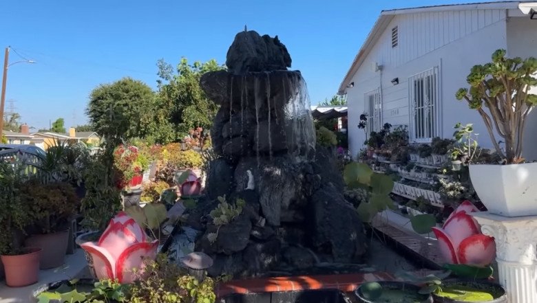 MC Cát Tường khoe nhà cô ruột ở Mỹ có vườn sen đá khổng lồ bông to hơn mặt người - 25