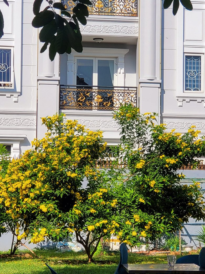 Đọ view phòng ngủ sao Việt: Lê Hoàng nhìn xuống khu vườn ngập hoa, phòng Cẩm Ly, Lã Thanh Huyền đẹp không kém - 11