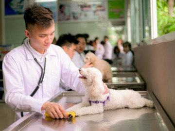 Ngành học từng bị chê, nay khát nhân lực, sinh viên ra trường bỏ túi ngay lương tới 20 triệu đồng