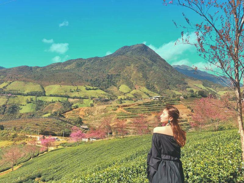 Bình minh và hoàng hôn là hai khoảng thời gian mà đồi chè Ô Quy Hồ trở nên huyền ảo, lung linh nhất. 
