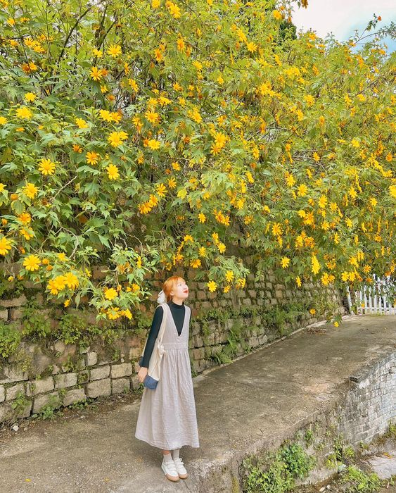 A woman posing amidst yellow leaves in Dalat, Vietnam