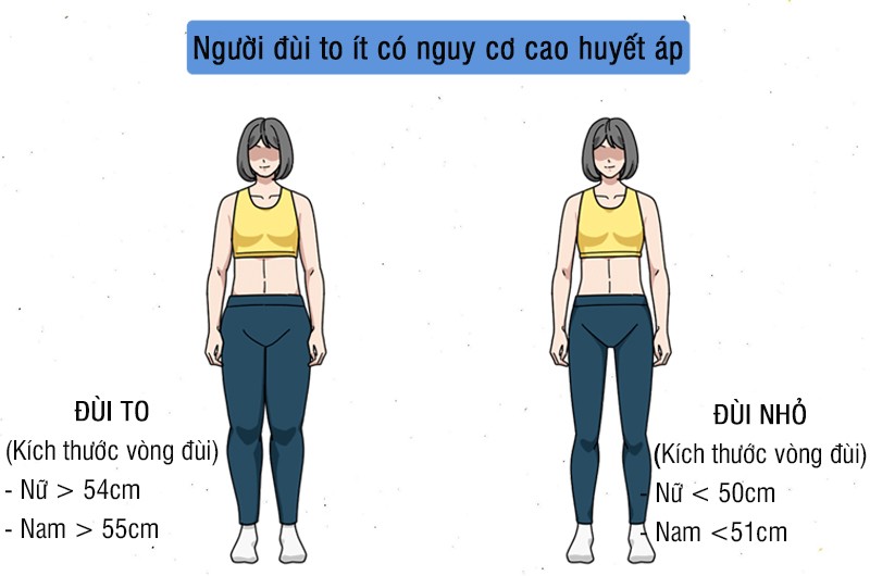 Nghiên cứu của Trường Y Đại học Giao thông Thượng Hải (Trung Quốc) đã đo chu vi đùi của gần 10.000 người trung niên và cao tuổi, đồng thời kiểm tra huyết áp của họ. Kết quả cho thấy người có đùi to ít bị cao huyết áp hơn.
