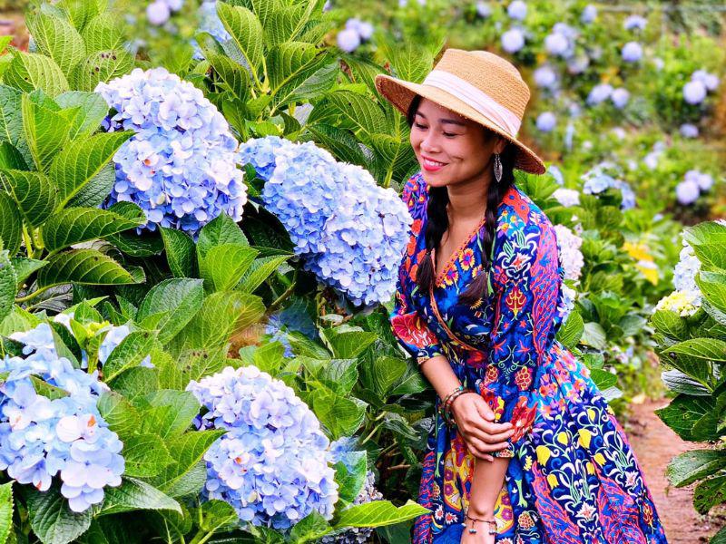 Sau khi du khách đến Đà Lạt tham quan, chụp hình đăng trên các trang mạng xã hội đã làm cho loài hoa này trở nên nổi tiếng.
