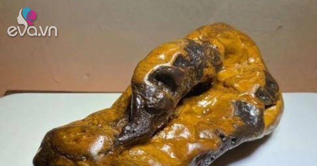 View - Cô gái mang con vịt quay đi thẩm định, chuyên gia giật mình: Hãy đem giao nộp càng sớm càng tốt