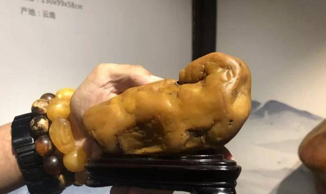 View - Cô gái mang con vịt quay đi thẩm định, chuyên gia giật mình: Hãy đem giao nộp càng sớm càng tốt