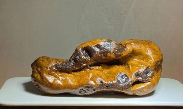 View - Cô gái mang con vịt quay đi thẩm định, chuyên gia giật mình: Hãy đem giao nộp càng sớm càng tốt