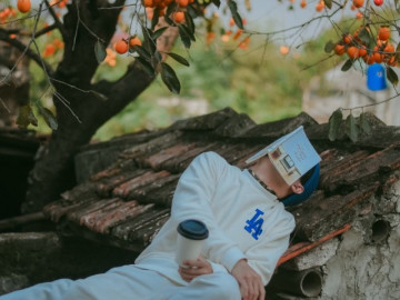 Ghé Ninh Bình thăm cây hồng trăm tuổi, từ vô danh thành điểm check-in ai cũng biết