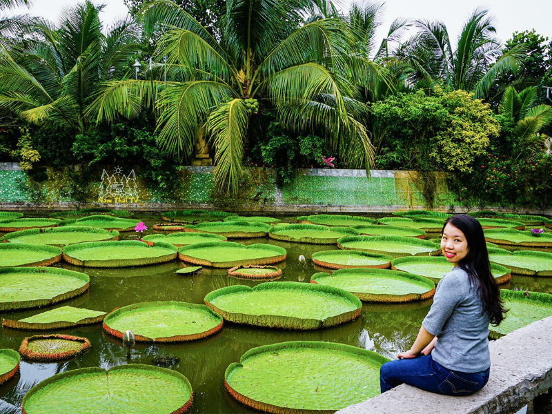 Vì loài sen khổng lồ đặc biệt nên chùa cũng được đặt tên là Chùa sen vua hay chùa lá sen.
