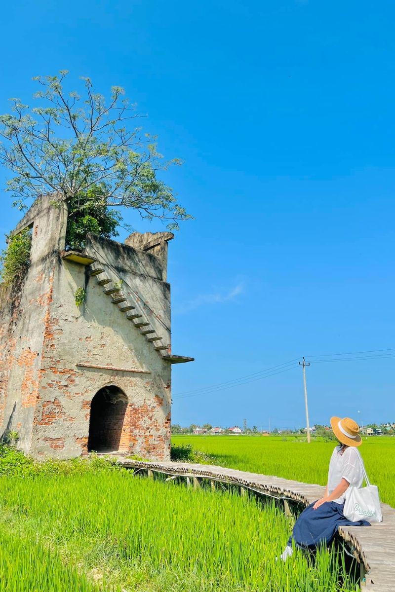 Bao quanh lò gạch cũ là cánh đồng lúa xanh biếc.
