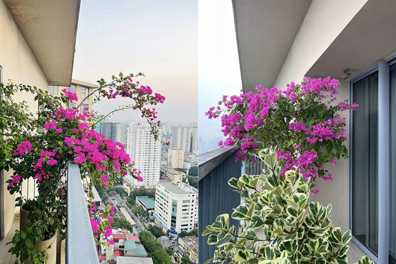 View - MC Thành Trung khoe góc ban công cực chill trong penthouse 260m2, nhận xét một câu về vợ
