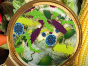 Clip Eva - Cảnh báo những loại thực phẩm dễ nhiễm khuẩn