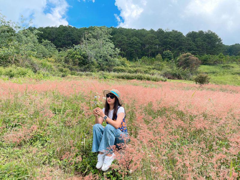 Còn những đồi cỏ lau hồng rực rỡ, trải rộng nhất thường nằm ở khu vực hồ Tuyền Lâm, Trại Mát, đèo Sacom...

