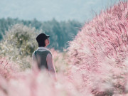 Lifestyle - Loại cỏ "sớm nở chóng tàn" tại Đà Lạt, phải "săn" mới có thể chụp ảnh kịp