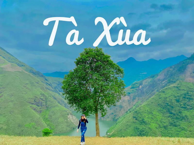Cây cô đơn Tà Xùa là một tọa độ cực chill và thú vị mà người trẻ thích mê khi du có dịp du lịch Sơn La.
