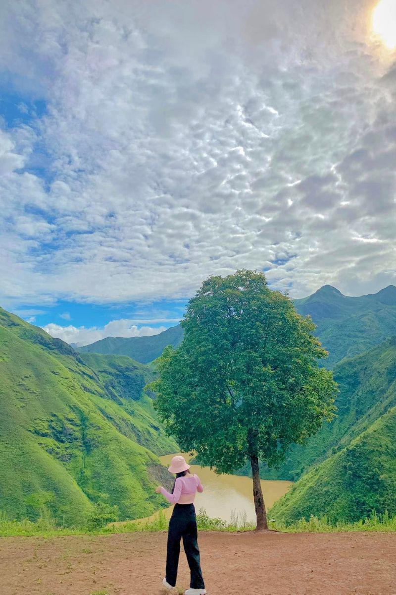 Giữa đất trời cao rộng, một cái cây với thân thẳng và tán lá xanh rì, khum tròn chỉn chu và nổi bật giữa không gian nên thơ của miền đất Tà Xùa Sơn La.
