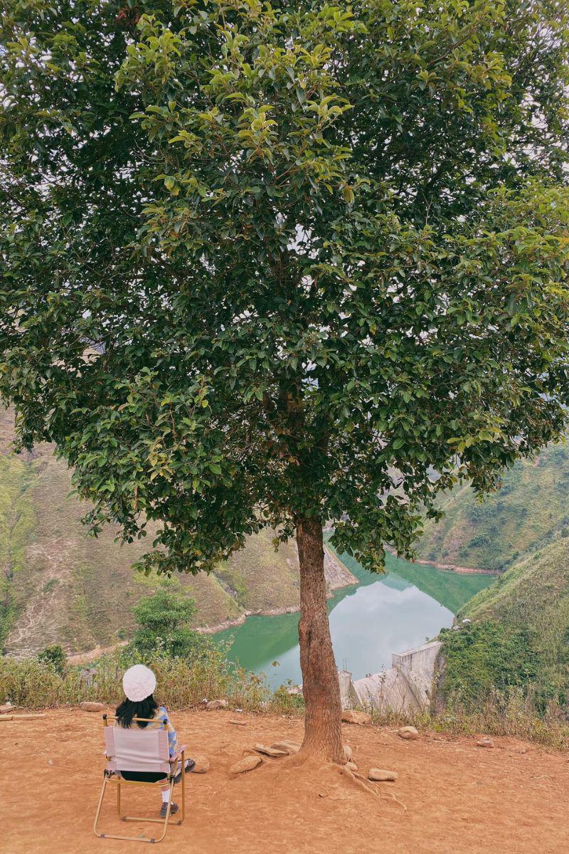 Từ đây, du khách thu vào tầm mắt ra núi đồi bao la. Đặc biệt, từ vị trí của cái cây này, du khách sẽ nhìn thẳng ra dòng Suối Sập cong cong lượn lượn chạy quanh dưới những dãy núi xanh rì.
