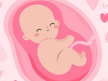 Những điều đáng kinh ngạc về thai nhi, có mẹ mang bầu vài lần rồi nhưng chưa chắc đã biết