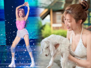 Giải trí - Trang Pháp - cô gái tài sắc có số điểm ngang bằng Diva: Gia thế "khủng", học vấn đáng nể, 35 tuổi mặt trẻ măng