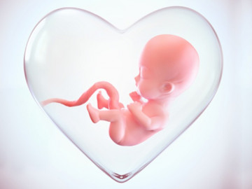 10 điều thú vị thai nhi muốn nói với mẹ qua "những cú đạp"