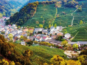 Lifestyle - Những điều gây ấn tượng mạnh với du khách về các làng quê xứ Trung