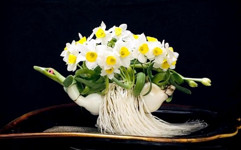 7. Hoa thủy tiên

Hoa thủy tiên mang vẻ đẹp thanh thoát, nhẹ nhàng, là loài hoa được trồng bằng củ. Từ khi bắt đầu trồng đến khi nở hoa mất hơn 2 tháng, vì vậy bạn có thể trồng hoa thủy tiên vào cuối tháng 10 âm lịch để hoa nở đúng dịp Tết.
