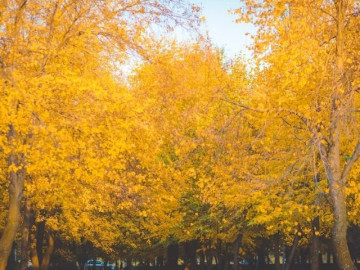 Người khôn ngoan kết thân với ai cũng nhớ nằm lòng 5 quy tắc