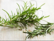 Nhà đẹp - Cách trồng cây hương thảo đơn giản tại nhà ai cũng trồng được