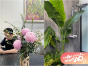 Nhà đẹp - Vợ Phan Mạnh Quỳnh khoe nhà vừa hoàn thành, ai cũng khen có gu: Độc lạ nhất là phòng tắm