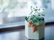 Eva tám - Tránh xa 3 người này chính là sự lựa chọn của người thông minh