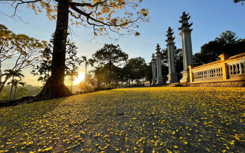 Khi đến với chùa Bát Nhã vào thời điểm từ tháng 12 - tháng 4, du khách sẽ được ngắm nhìn hoa phượng vàng nở rộ trên con đường dẫn vào chùa, tạo nên khung cảnh lãng mạn và đậm chất thơ.
