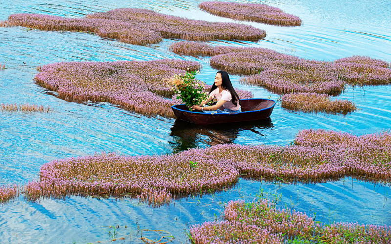Thời điểm lý tưởng ghé thăm hồ là vào tháng 11, khi những rặng tảo hồng nở rộ, mọc theo từng cụm. Bạn có thể ngồi trên bè, lênh đênh trên mặt hồ và chụp những bức ảnh hài hòa giữa cảnh và người.
