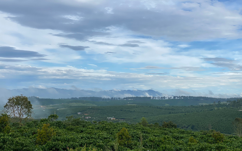 Không khó để bắt gặp những đám mây trôi lững thững, tản mạn qua những sườn đồi vào mỗi buổi sớm tại Bảo Lộc. Nguồn ảnh: Facebook “Camping - Trekking Bảo Lộc”.
