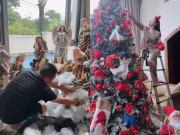Giải trí - Sao Việt 24h: Bảo Thy và đại gia Phan Lĩnh trang hoàng cây thông cao 3 mét, lộ không gian biệt thự siêu sang