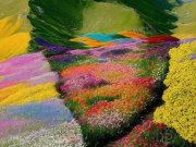 Eva tám - Trắc nghiệm tâm lý: Điều đầu tiên bạn nhìn thấy là gì?