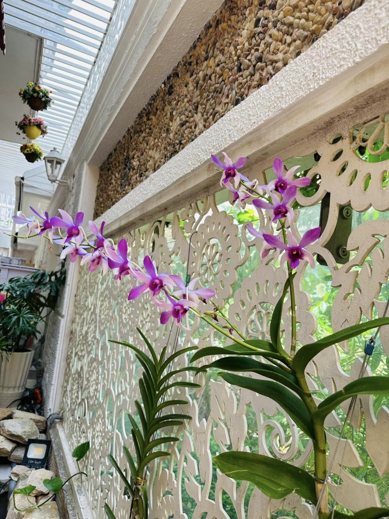 Biệt thự 1.400m2 của Vy Oanh bên trong trang trí hoa giả leo tường, ngoài vườn trồng loạt hoa tươi - 9