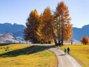 Eva tám - 4 cách tốt nhất để tăng năng lượng sống của bạn