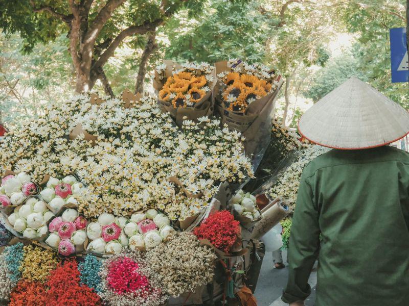 Cúc họa mi mang sắc trắng tinh khôi được mệnh danh là loài hoa báo đông của riêng Hà Nội. 
