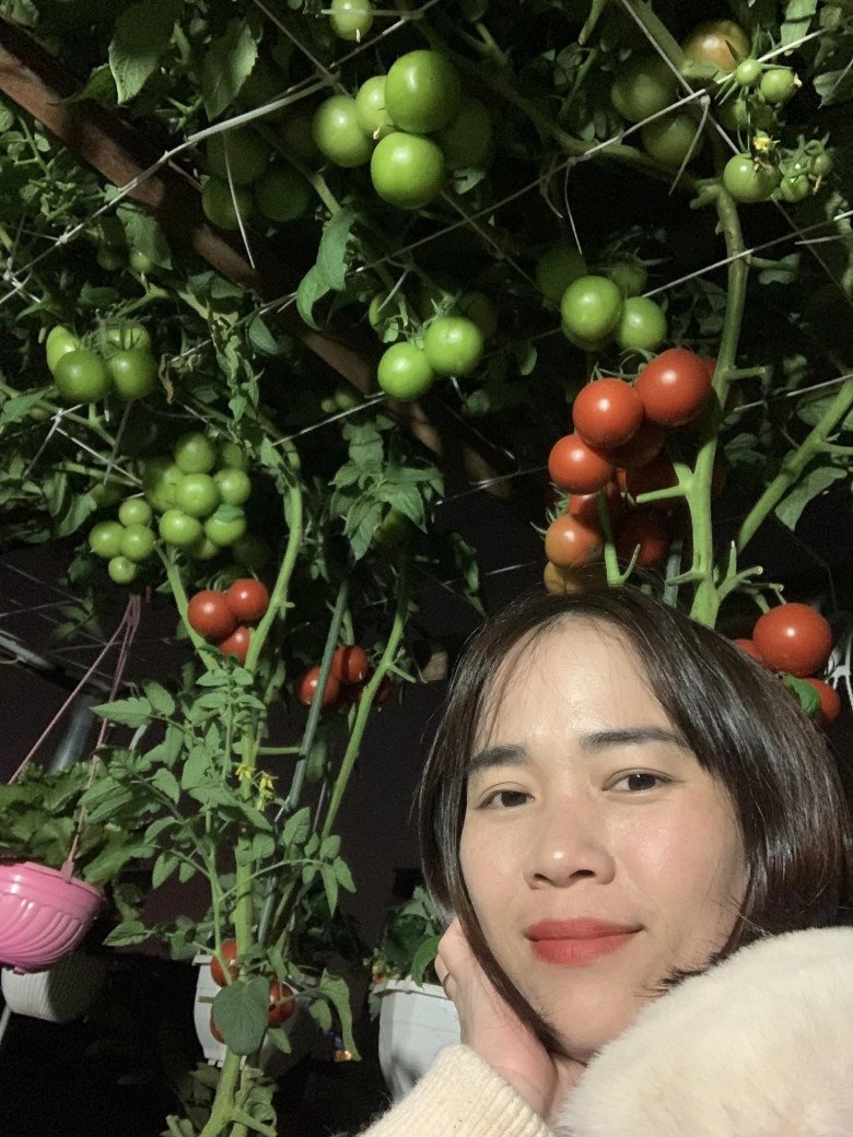 Mẹ đảm Hà Nội mát tay xây vườn trên sân thượng, có vụ thu hoạch cả trăm cân dưa lưới - 10