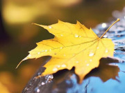 Eva tám - Không phải cố sức lấp đầy, biết cách để trống mới là lối sống thông minh