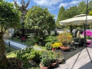 Nhà đẹp - Biệt thự ngập hoa của bố mẹ Quốc Trường ở Cần Thơ, đúng chuẩn không gian sống bao người mơ ước