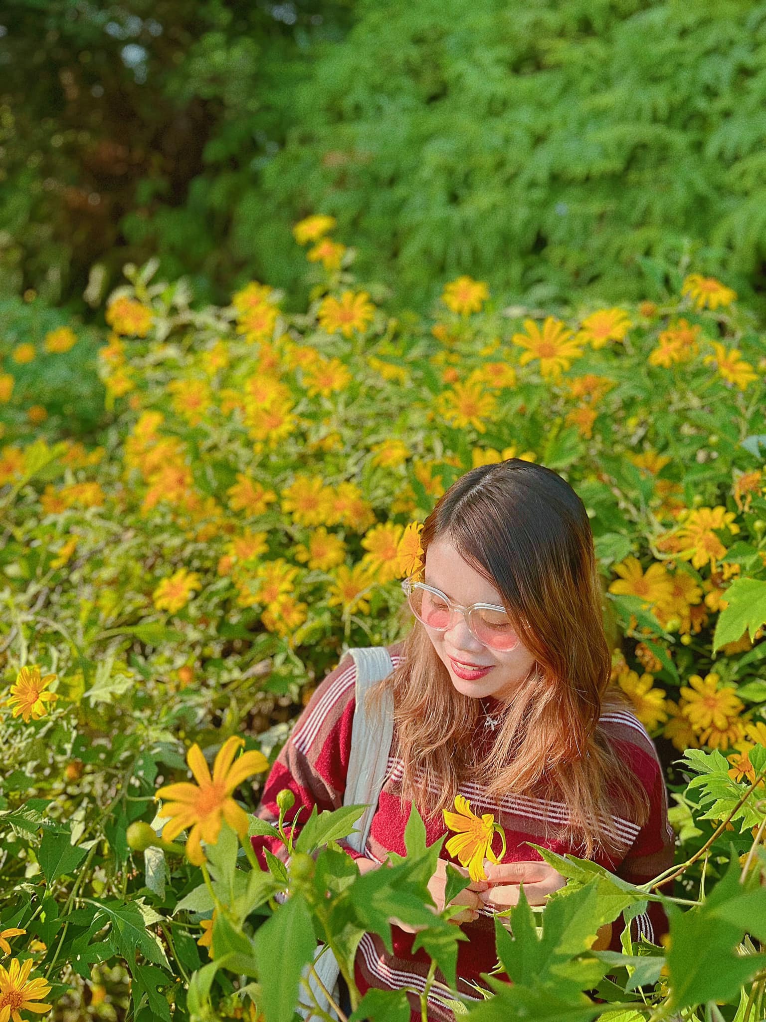 Trời nắng nhưng mát mẻ, du khách vừa đi vừa ngắm cảnh.