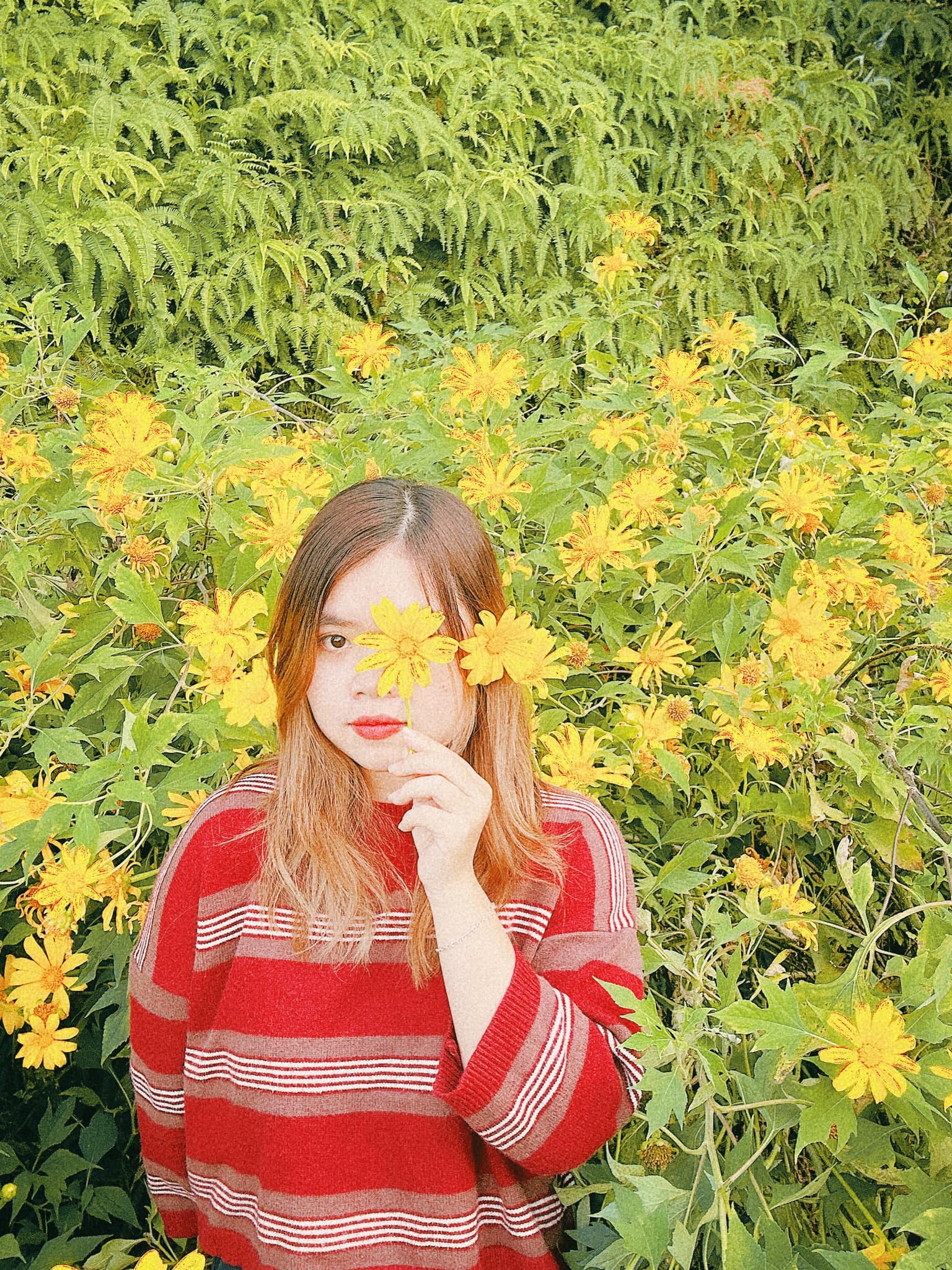 Du khách lưu lại những khoảnh khắc đáng nhớ bên loài hoa rực rỡ.