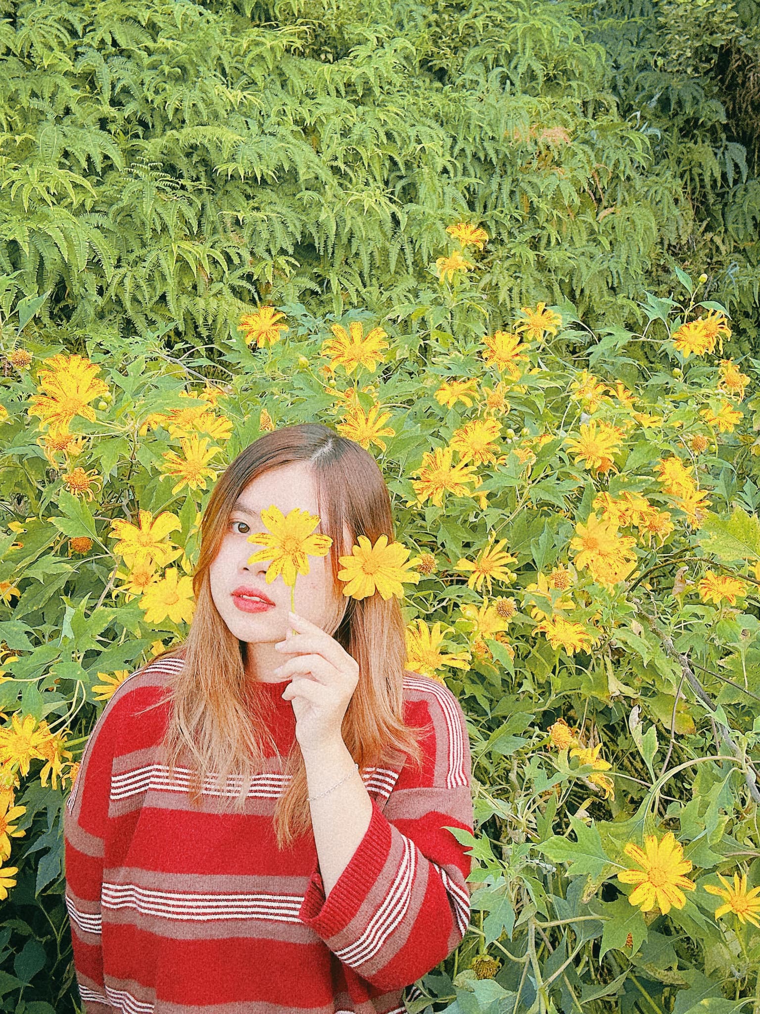 Cô nàng mê hoa dã quỳ, amp;#34;phượtamp;#34; ngay đến Ba Vì ngắm đồi hoa rực rỡ - 5