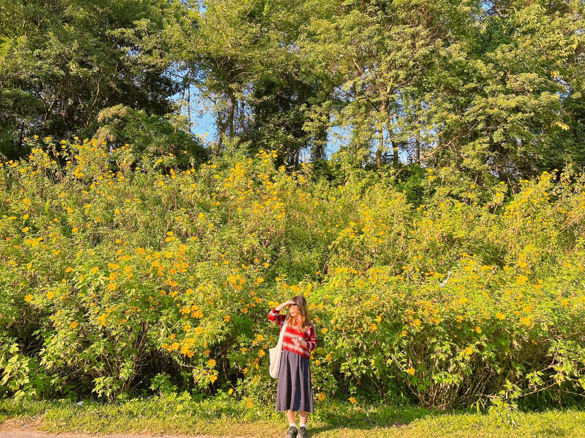 Hẹn gặp lại Ba Vì vào một ngày đẹp trời tiếp theo...