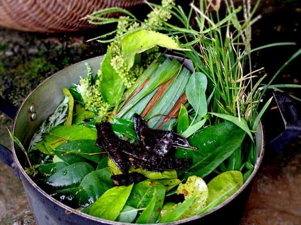 Mẹ bỉm sau sinh có thể xông hơi bằng nước lá thảo dược để làm ấm cơ thể, giúp bài tiết chất thải. (Ảnh minh họa)