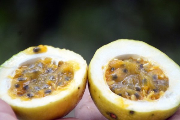 Phần mật chanh bên trong có vị ngọt thơm đậm đà.