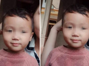 Tin tức - Vụ bé trai 2 tuổi mất tích sau vài phút ra trước cổng nhà: Công an đưa chó nghiệp vụ đi tìm